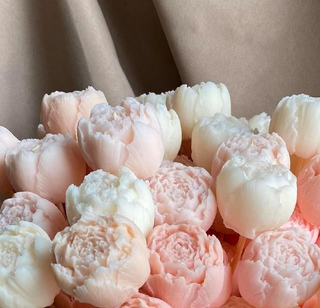 Close-up of pink and white peony flowers with a blurred background