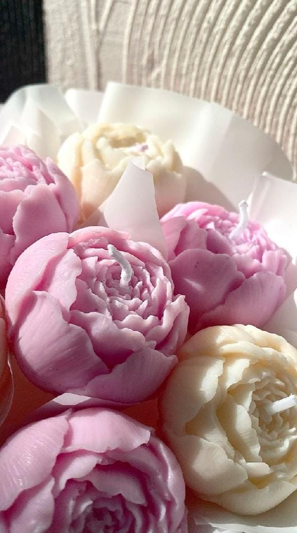 Close-up of pink and white flowers with a blurred background