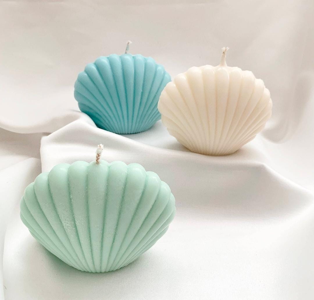 Shell-shaped candles in various colors on a white surface